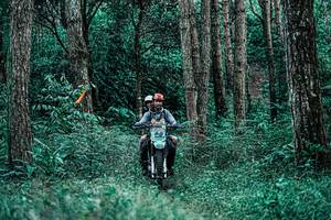 BIB: 
                            <button type="button" onclick="openModal(25238202)" class="btn btn-primary btn-sm float-right btn-popup" data-toggle="modal" data-target=".modal-high-quality">
                        <i class="fas fa-shopping-cart"></i> Add to Cart
                    </button>
                                            <button type="button" onclick="isThisMe(25238202, true)" class="btn btn-success btn-sm float-right btn-popup btn-isme hidden" data-toggle="tooltip" data-placement="bottom" title="นี่คือรูปของคุณใช่ไหม คลิกที่นี่เพื่อเอาเข้าอัลบั้ม">
                        <i class="fas fa-plus"></i> Add to album
                    </button>
                    <button type="button" onclick="isThisMe(25238202, false)" class="btn btn-warning btn-sm float-right btn-popup btn-isnotme hidden">
                        <i class="fas fa-ban"></i> Remove from album
                    </button>